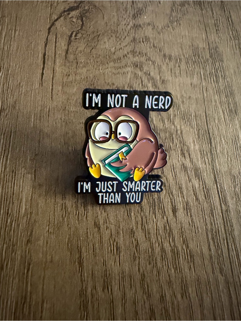 Cute Owl Bird Pin - Brown Owl 'I'm Not a Nerd'